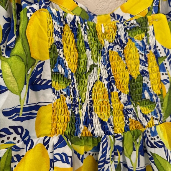 Kenny flowers Amalfi NWT-lemon print resort dress with elastic back - Picture 13 of 13